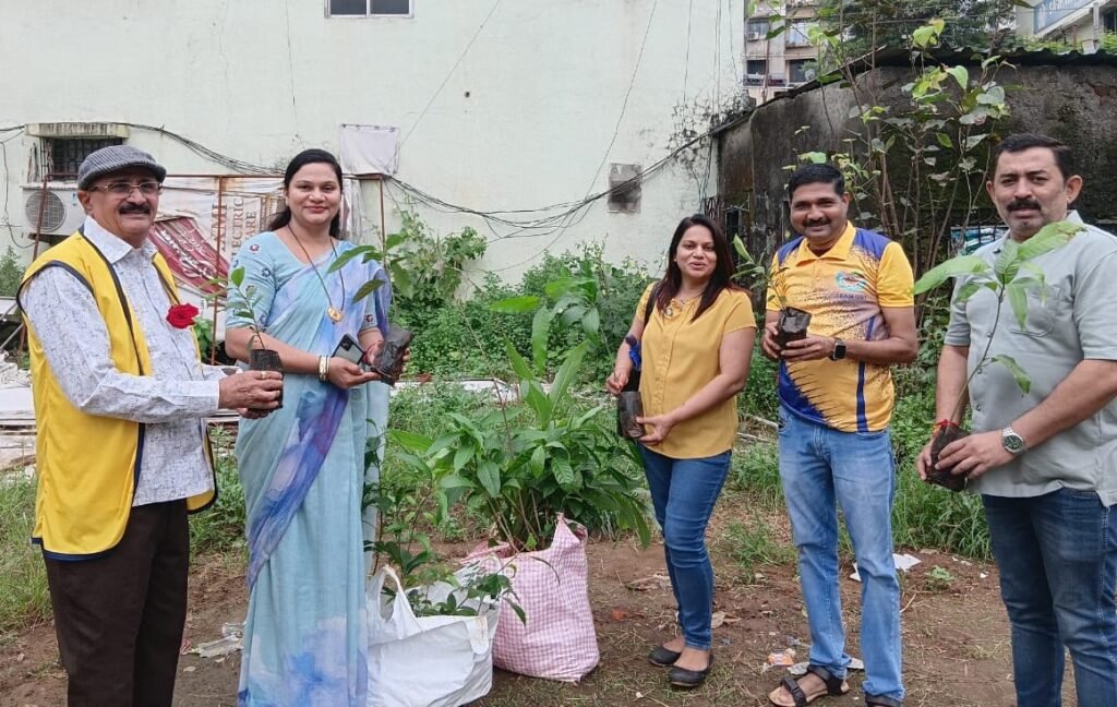 Tree Plantation