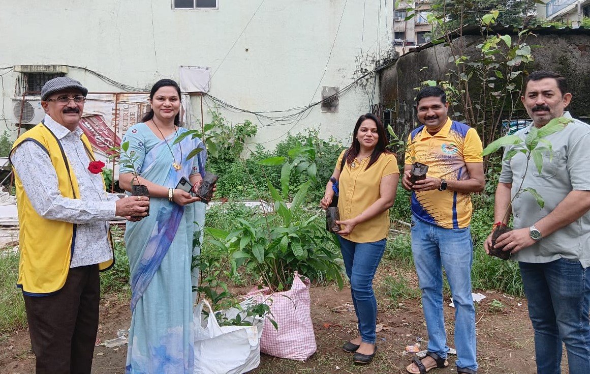 Tree Plantation