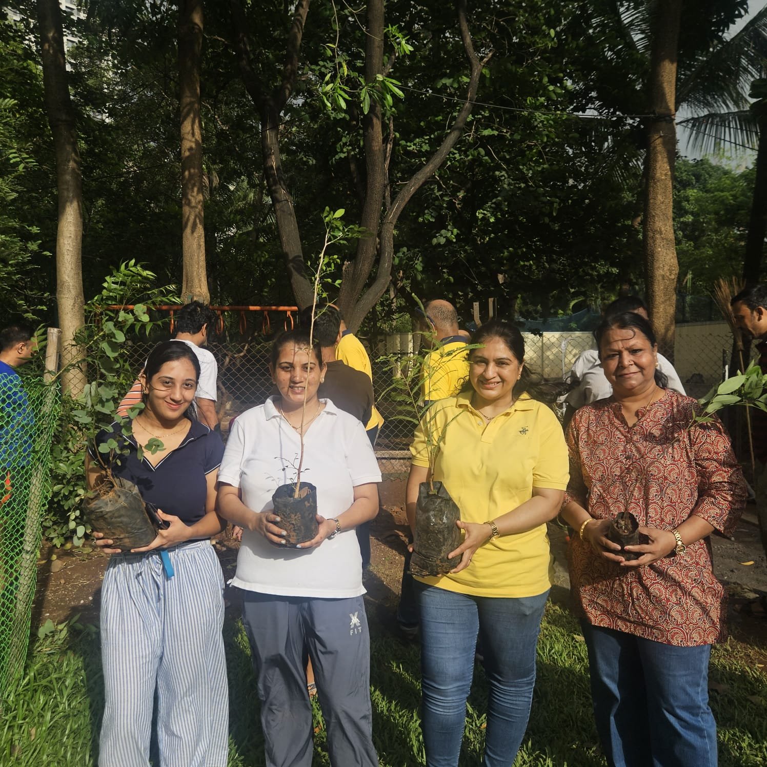 Tree plantation